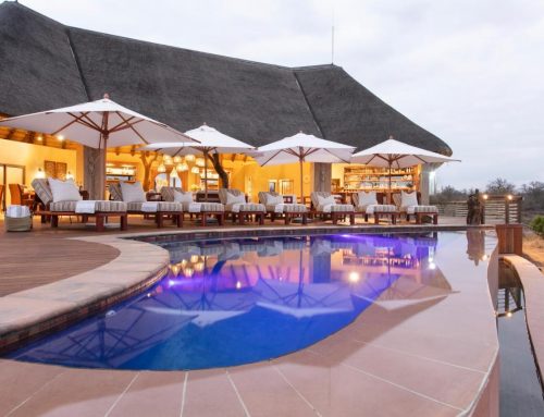 Top South African Lodges para visitar em 2022