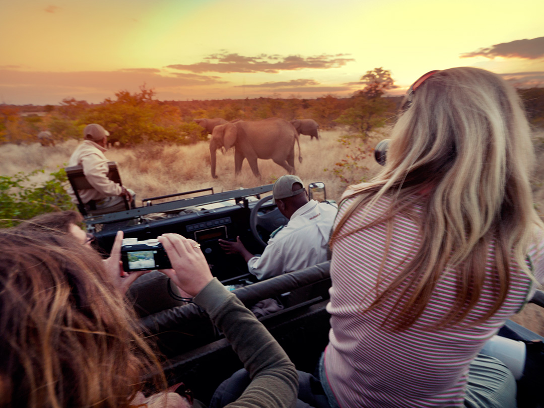 Timbavati safari kamaroutes