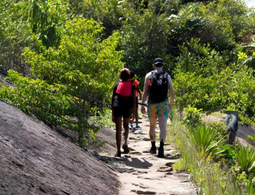 Kamaroutes Wins 2025 TripAdvisor Travellers’ Choice Award