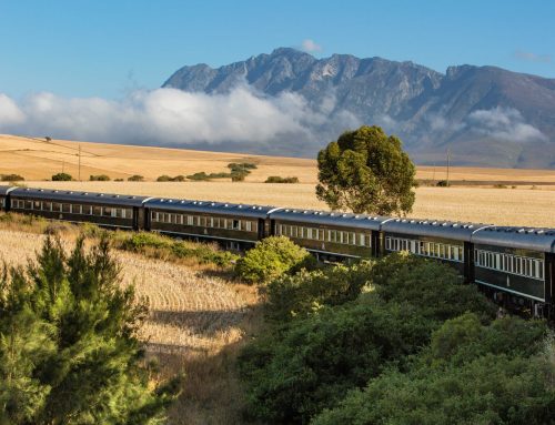 Rovos Rail 101: Routes, Suites and What to Expect Onboard